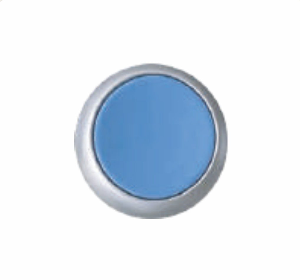 BLUE LIGHT