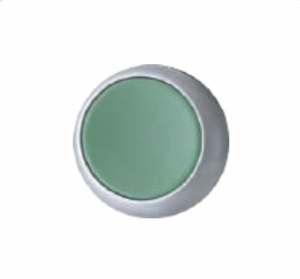 GREEN LIGHT